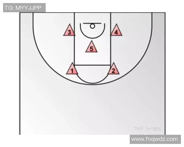 南京排球队区域防守体系解析与战术应用探讨