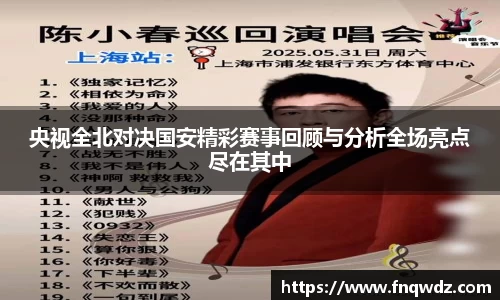 央视全北对决国安精彩赛事回顾与分析全场亮点尽在其中