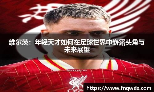 XK星空官网