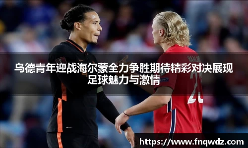 XK星空官网